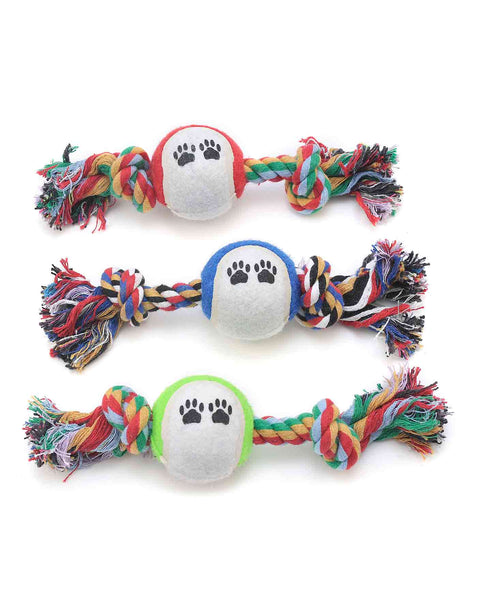 Docena de Pelotas de Tenis con Cuerda