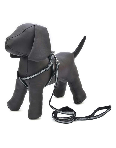 Docena de Arnes y Correa para mascota mediano con reflejante