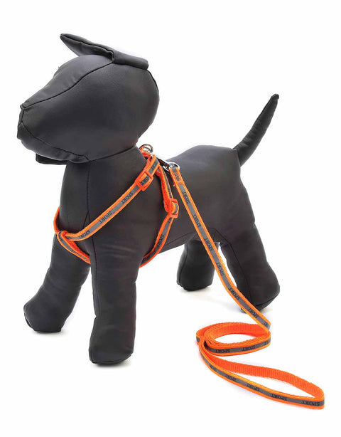 Docena de Arnes y Correa para mascota mediano con reflejante