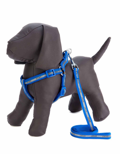 Docena de Arnes grande y correa para mascota con reflejante