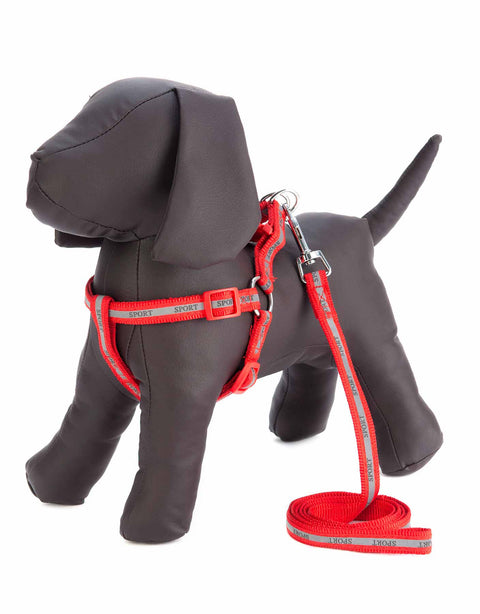 Docena de Arnes grande y correa para mascota con reflejante