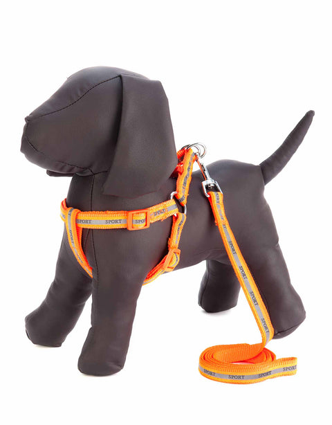 Docena de Arnes grande y correa para mascota con reflejante