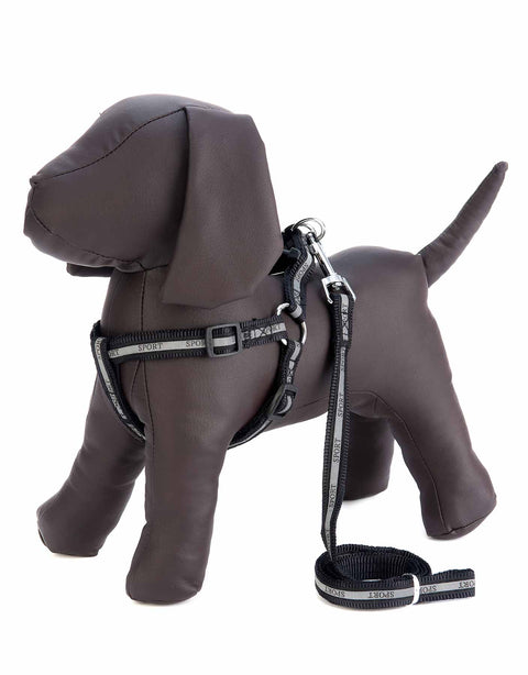 Docena de Arnes grande y correa para mascota con reflejante